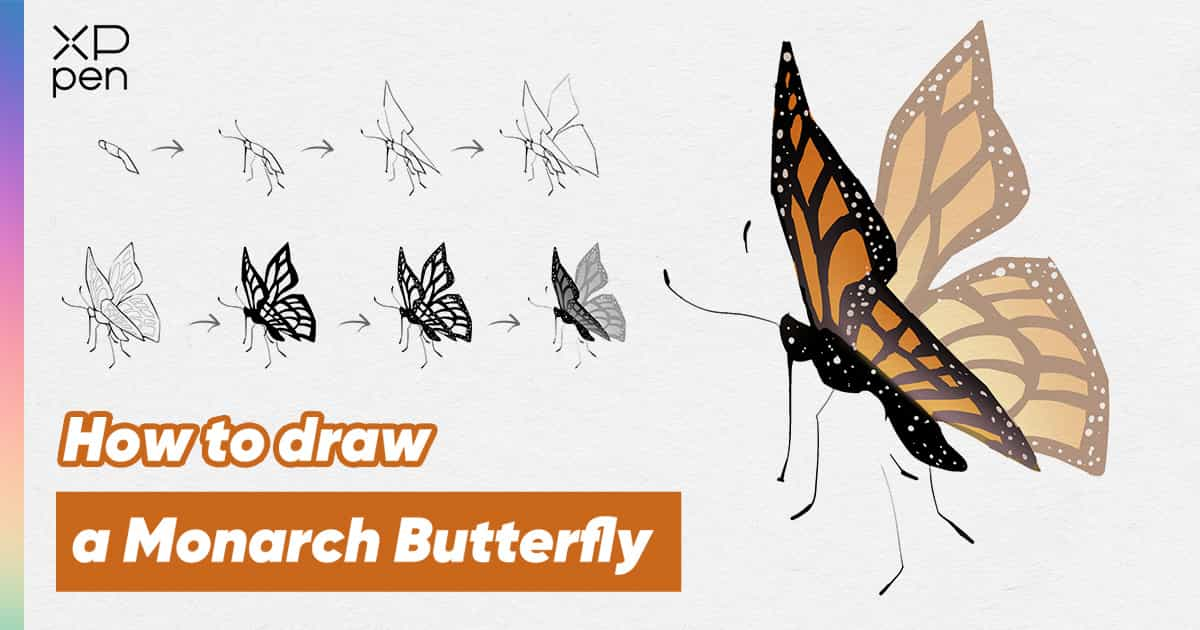 how to draw a monarch butterfly