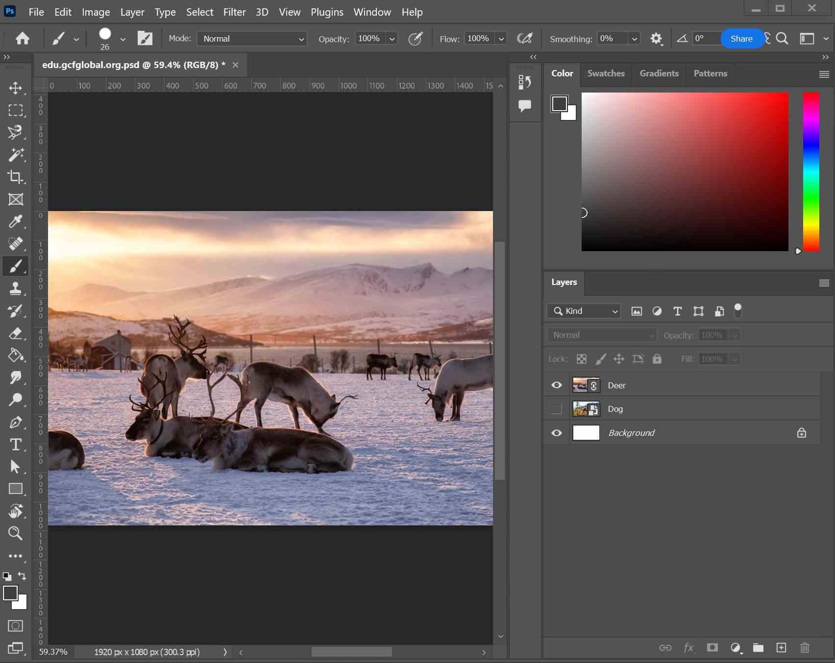 How to Make an Animated GIF in Photoshop - Astropad