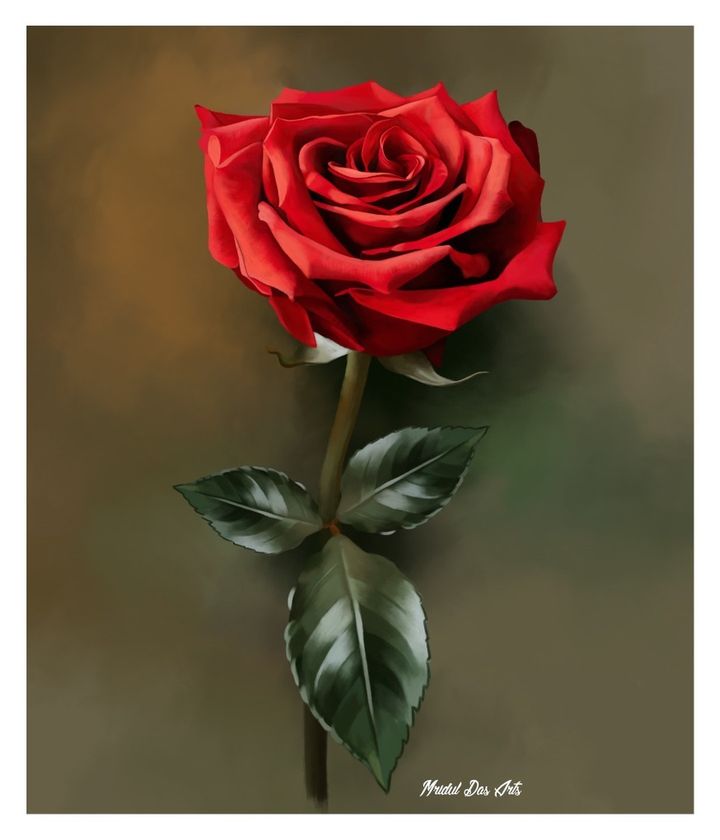 Rose In Sketch | Rose drawing simple, Flower drawing, Rose drawing