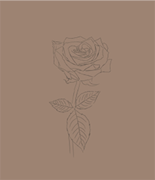 How to draw a realistic rose — Drawing Realism