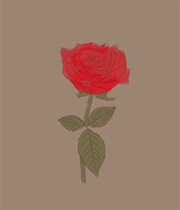 Drawing a Realistic Rose: Step-by-Step Video Guide | XPPen