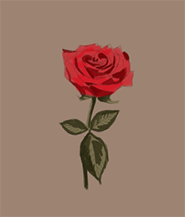 how to draw a cool rose step by step