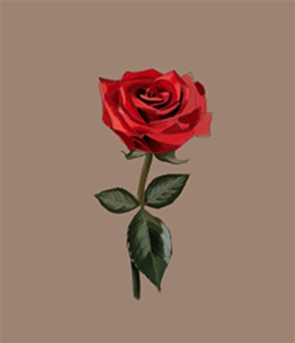 How to Draw a Rose | Easy Drawings Rose | Nil Tech - shop.nil-tech