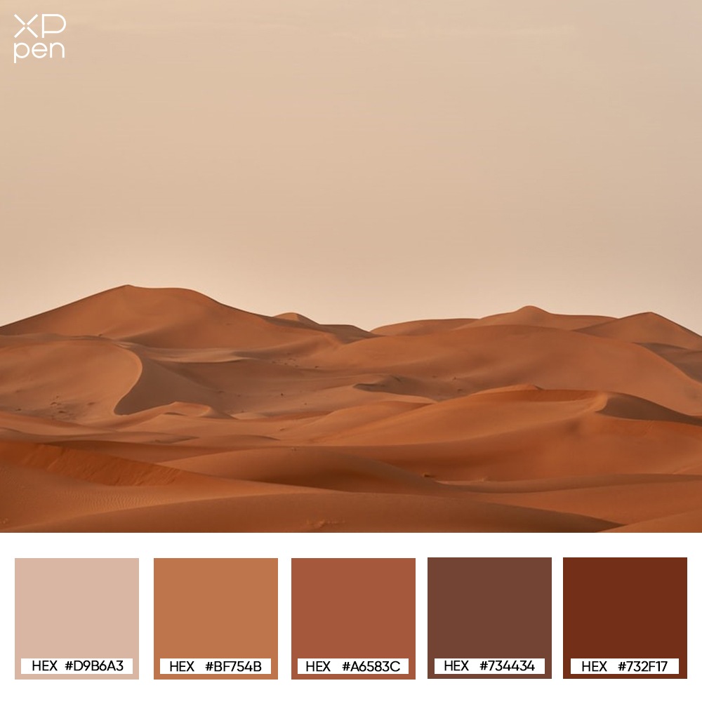 https://www.xp-pen.com/Uploads/images/blog/2023/10/17/desert-earthy-palette.jpg