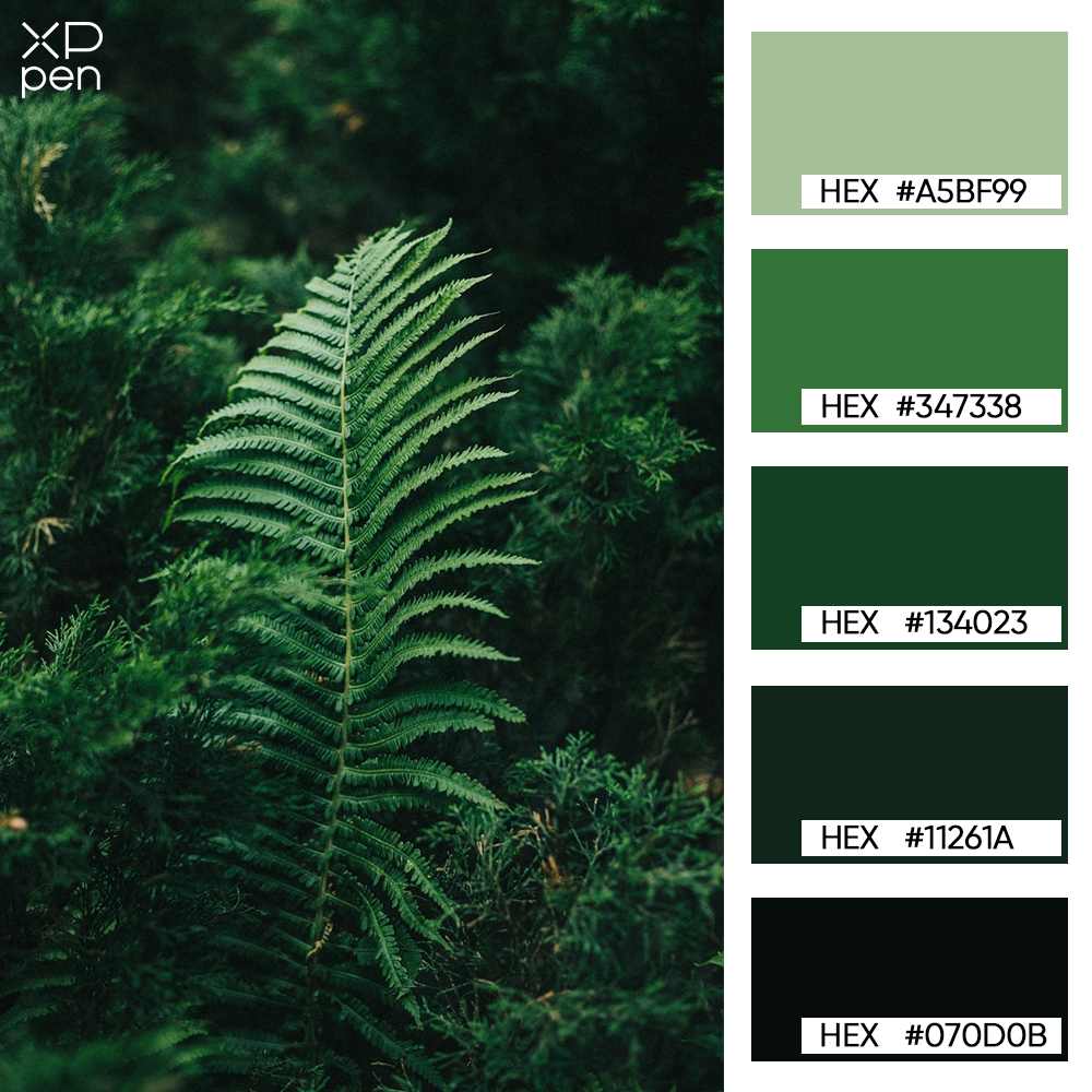 Jungle Green - main Color Palette