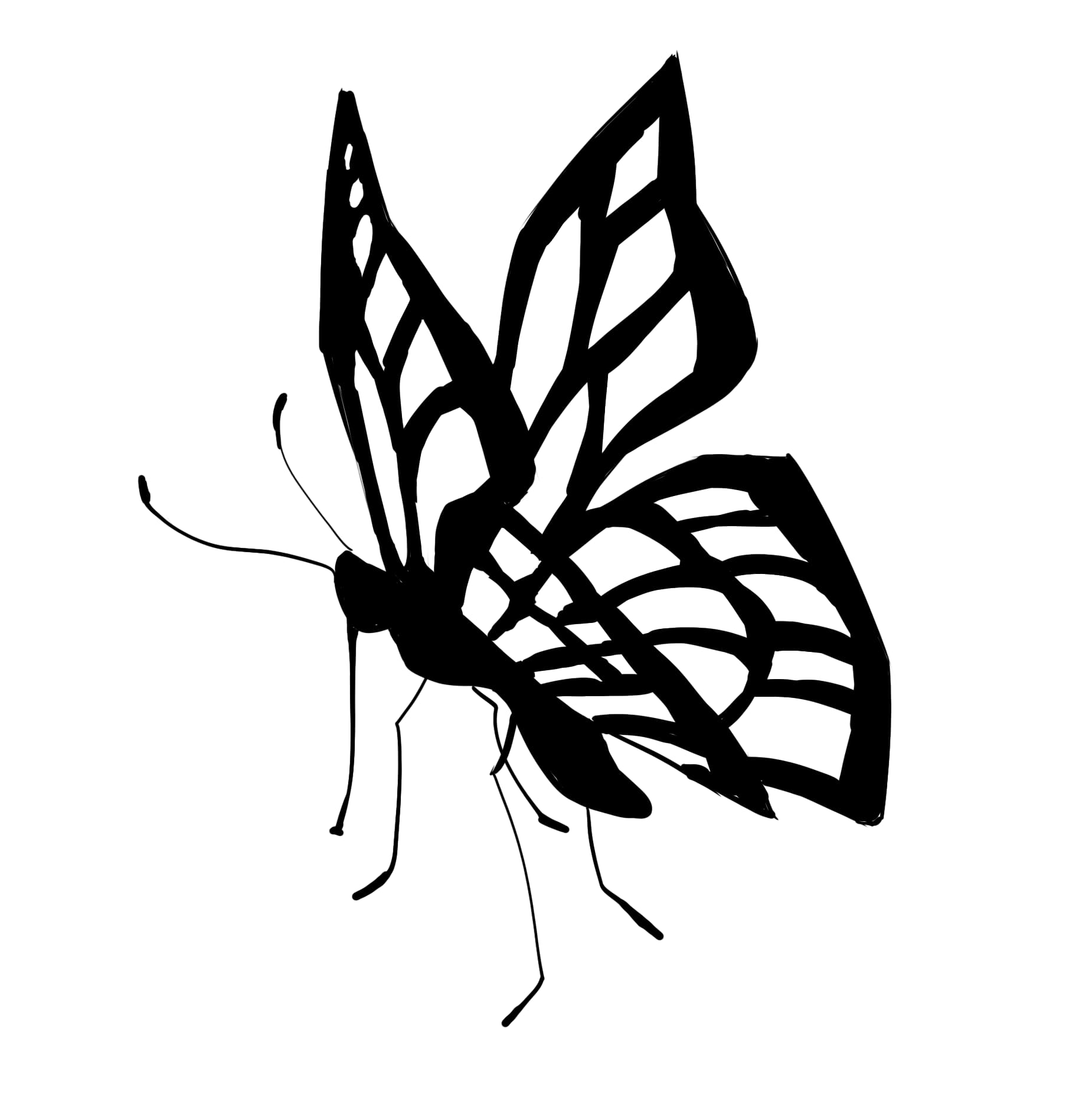 How to draw a monarch butterfly step by step